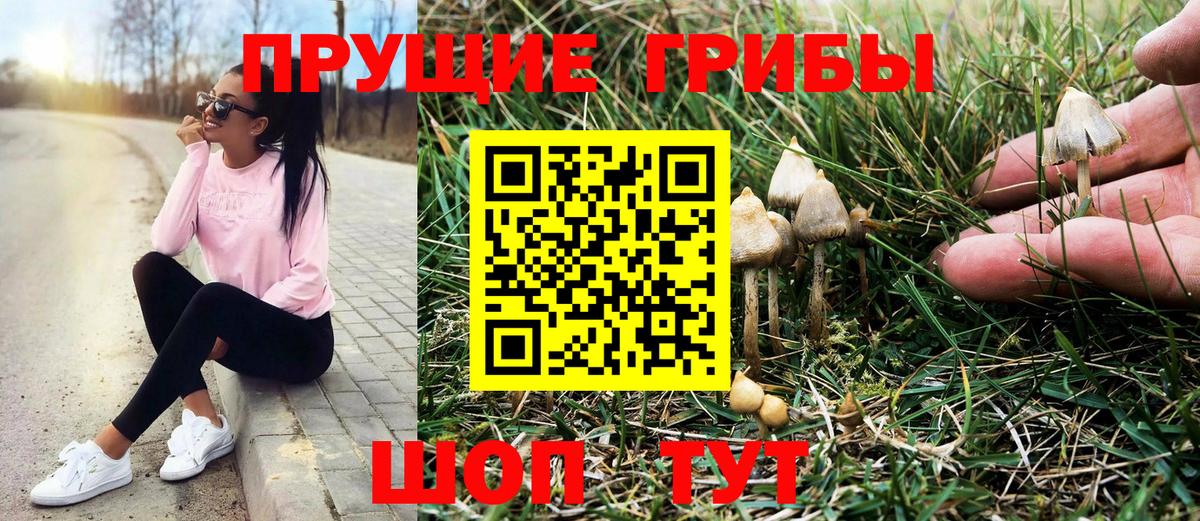 Псилоцибиновые грибы ЛСД  Вход с VPN  Галлюциногенные грибы мухоморы  Пугачёв 