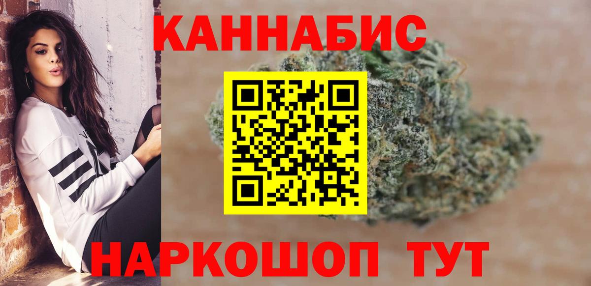 Канабис сатива Пугачёв
